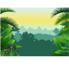Tropical forest background vector image