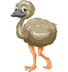 Emu cartoon vector image