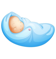 Newborn vector image