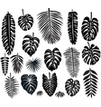 Set of Tropical Leaves vector image