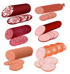 Set of different varieties of sausage on a white vector image