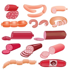 Set of sausage on a white background vector image