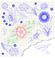 Flowers and leaves vector image