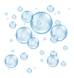 Bubble soap light vector image