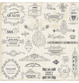 Set Calligraphic Design Elements vector image