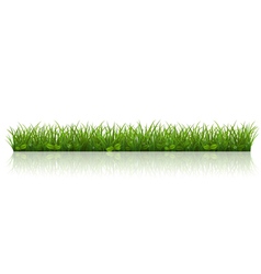 Beautiful green grass vector image