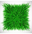 Background with square of grass vector image