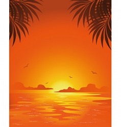 Summer sunset vector image