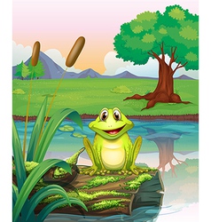 A frog at the lake vector image