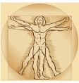 Vitruvian man vector image
