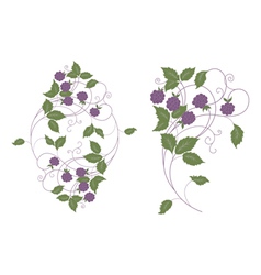 Wood berries vector image