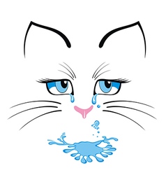 Cat cartoon character vector image