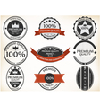 Premium Quality and Guarantee Labels vector image