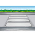 Zebra crssing on a road vector image
