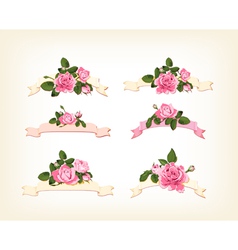 Set of a beautiful colored roses vector image