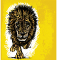 Hand drawn Sketch of a lion vector image