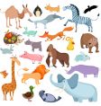 Wild animals set vector image