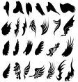 Set of wings vector image