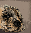 Sketch of a dog vector image