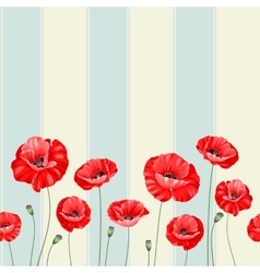 Pattern of poppy flowers vector image