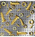 Screws and nuts vector image