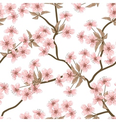 Cherry blossom background Seamless flowers pattern Cherry blossom background Seamless flowers pattern vector image