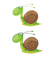 Snail funny vector image