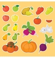 Vegetables and fruits set vector image