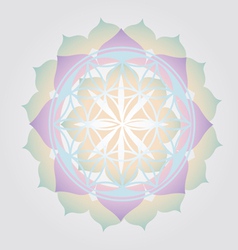 Flower of Life design vector image