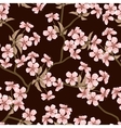 Cherry blossom background Seamless flowers pattern vector image
