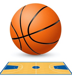 Basketball court floor plan vector image