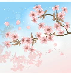 Cherry Tree Card with stylized blossom vector image