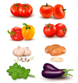 The big colorful group of vegetables vector image