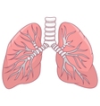 Human lung cartoon vector image