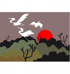 Crane vector image