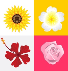 Blossom Flower vector image