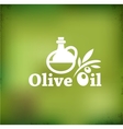 Olive oil backgound vector image