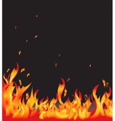 Flames vector image