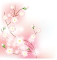 Tree blossom brunch vector image