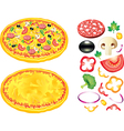 Pizza vector image