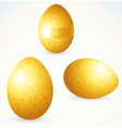 Golden eggs vector image