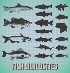 Fish Silhouettes vector image
