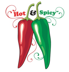 Hot and spicy vector image