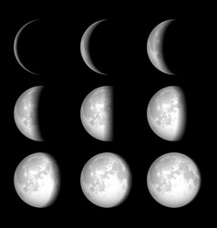Moon Phases vector image