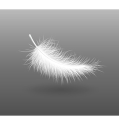 Feather falling light small vector image