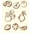 Vintage fruit icons vector image