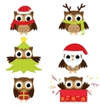 Owls vector image