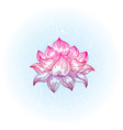 Lotus in hand-drawn style - vector image
