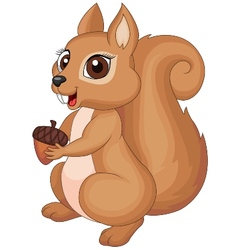 Cute cartoon Squirrel holding a corn vector image