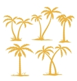 Palm Contours vector image